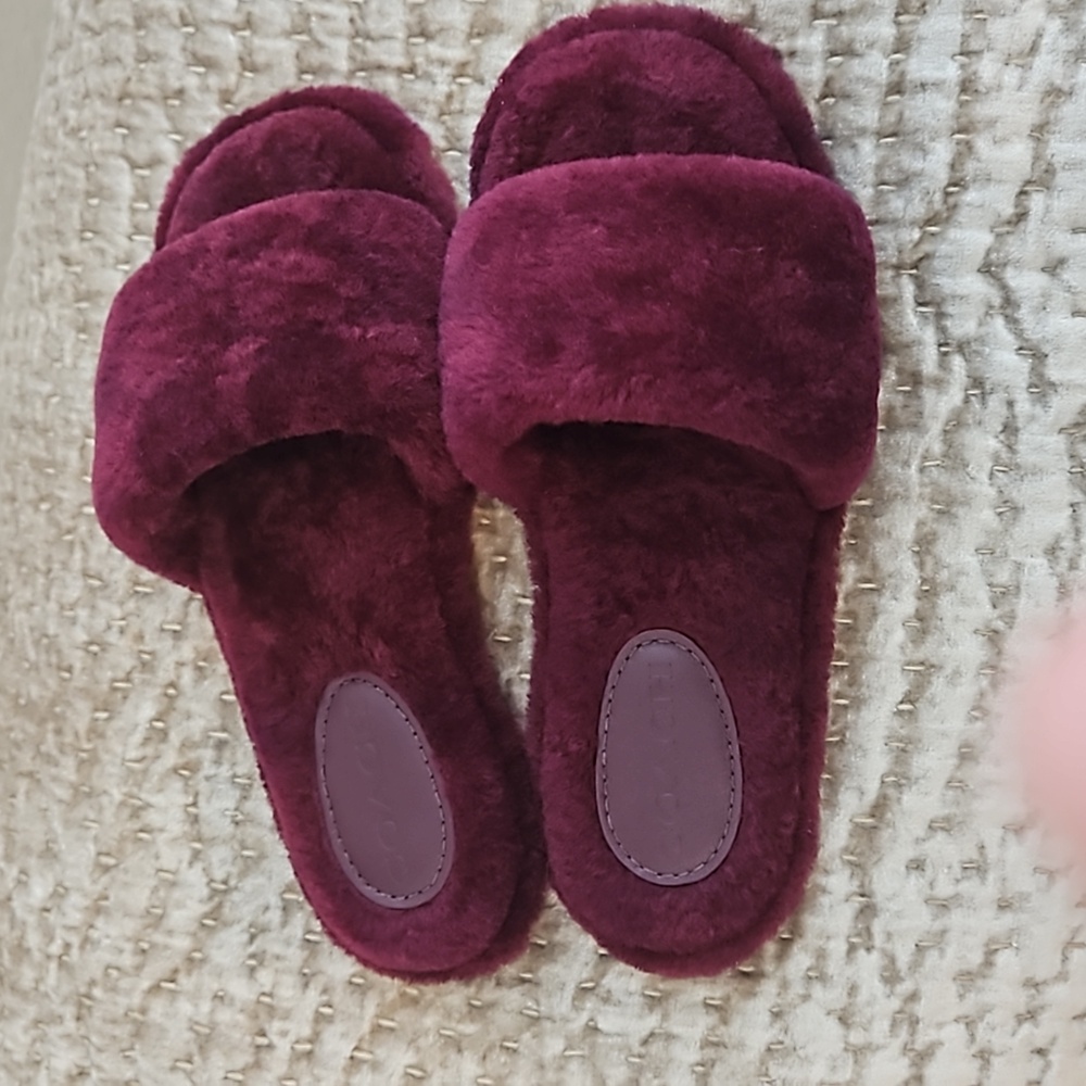 Coach Slippers